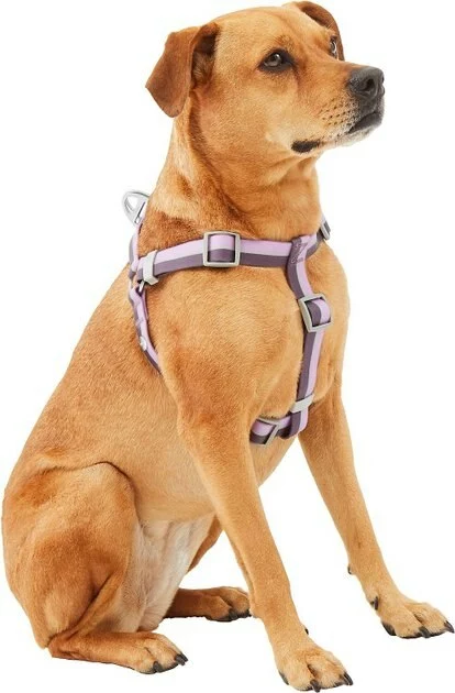 Frisco Outdoor Two Tone Waterproof Stinkproof PVC Harness, Flamepoint Orange,Extra Large, Neck: 22 to 33-in, Girth: 32 to 44-in + Outdoor Two Tone Waterproof Stinkproof PVC Harness, Shadow Purple, Large, Neck: 19 to 27-in, Girth: 23 to 36-in 9 Frisco Outdoor Two Tone Waterproof Stinkproof PVC Harness, Flamepoint Orange,Extra Large, Neck: 22 to 33-in, Girth: 32 to 44-in + Outdoor Two Tone Waterproof Stinkproof PVC Harness, Shadow Purple, Large, Neck: 19 to 27-in, Girth: 23 to 36-in - Image 7