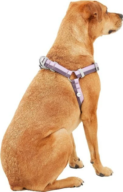 Frisco Outdoor Two Tone Waterproof Stinkproof PVC Harness, Flamepoint Orange,Extra Large, Neck: 22 to 33-in, Girth: 32 to 44-in + Outdoor Two Tone Waterproof Stinkproof PVC Harness, Shadow Purple, Large, Neck: 19 to 27-in, Girth: 23 to 36-in 10 Frisco Outdoor Two Tone Waterproof Stinkproof PVC Harness, Flamepoint Orange,Extra Large, Neck: 22 to 33-in, Girth: 32 to 44-in + Outdoor Two Tone Waterproof Stinkproof PVC Harness, Shadow Purple, Large, Neck: 19 to 27-in, Girth: 23 to 36-in - Image 8