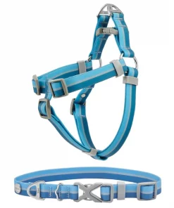 Frisco Outdoor Two Tone Waterproof Stinkproof PVC Harness, River Blue, Large, Neck: 19 to 27-in, Girth: 23 to 36-in + Dog Collar, River Blue, Large, Neck: 18 ½- 26-in, Width: 1-in