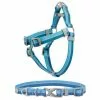 Frisco Outdoor Two Tone Waterproof Stinkproof PVC Harness, River Blue, Small, Neck: 14 to 19-in, Girth: 16 to 23-in + Dog Collar, River Blue, Small - Neck: 10½-14-in, Width: 5/8-in -The Frisco Store 319394 MAIN. SY630 V1631154990