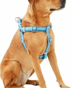 Frisco Outdoor Two Tone Waterproof Stinkproof PVC Harness, River Blue, Small, Neck: 14 to 19-in, Girth: 16 to 23-in + Dog Collar, River Blue, Small - Neck: 10½-14-in, Width: 5/8-in -The Frisco Store 319394 PT2. SY630 V1631160981