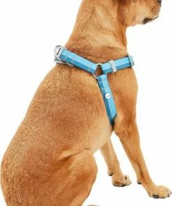 Frisco Outdoor Two Tone Waterproof Stinkproof PVC Harness, River Blue,Extra Large, Neck: 22 to 33-in, Girth: 32 to 44-in + Outdoor Two Tone Waterproof Stinkproof PVC Harness, River Blue, Large, Neck: 19 to 27-in, Girth: 23 to 36-in -The Frisco Store 319396 PT3. SY630 V1630623399