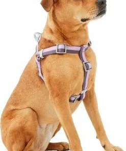 Frisco Outdoor Two Tone Waterproof Stinkproof PVC Harness, Shadow Purple, Small, Neck: 14 to 19-in, Girth: 16 to 23-in + Dog Collar, Boysenberry Purple, Small - Neck: 10½-14-in, Width: 5/8-in -The Frisco Store 319404 PT2. SY630 V1631142093