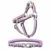 Frisco Outdoor Two Tone Waterproof Stinkproof PVC Harness, Shadow Purple,Extra Large, Neck: 22 to 33-in, Girth: 32 to 44-in + Dog Collar, Boysenberry Purple, Large, Neck: 18 ½- 26-in, Width: 1-in