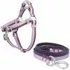 Frisco Outdoor Two Tone Waterproof Stinkproof PVC Harness, Shadow Purple,Extra Large, Neck: 22 to 33-in, Girth: 32 to 44-in + Dog Leash, Boysenberry Purple, Large - Length: 6-ft, Width: 1-in -The Frisco Store 319408 MAIN. SY630 V1631138210