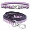 Frisco Outdoor Two Toned Waterproof Stink Proof PVC Collar, Boysenberry Purple, Large, Neck: 18 ½ 26-in, Width: 1-in + Dog Leash, Boysenberry Purple, Large - Length: 6-ft, Width: 1-in -The Frisco Store 319412 MAIN. SY630 V1631157991