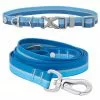 Frisco Outdoor Two Toned Waterproof Stink Proof PVC Collar, River Blue, Medium - Neck: 14½20-in, Width: 3/4-in + Dog Leash, River Blue, Medium - Length: 6-ft, Width: 3/4-in -The Frisco Store 319430 MAIN. SY630 V1631160394