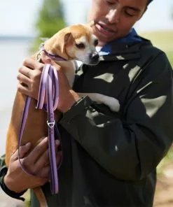 Frisco Outdoor Two Toned Waterproof Stink Proof PVC Leash, Boysenberry Purple, Large - Length: 6-ft, Width: 1-in + Dog Harness, Shadow Purple, Large, Neck: 19 to 27-in, Girth: 23 to 36-in -The Frisco Store 319434 PT3. SY630 V1631158576