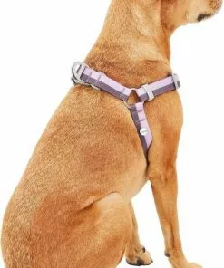 Frisco Outdoor Two Toned Waterproof Stink Proof PVC Leash, Boysenberry Purple, Large - Length: 6-ft, Width: 1-in + Dog Harness, Shadow Purple, Large, Neck: 19 to 27-in, Girth: 23 to 36-in -The Frisco Store 319434 PT6. SY630 V1631152299