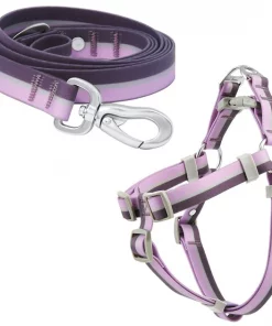 Frisco Outdoor Two Toned Waterproof Stink Proof PVC Leash, Boysenberry Purple, Small - Length: 6-ft, Width: 5/8-in + Dog Harness, Shadow Purple, Small, Neck: 14 to 19-in, Girth: 16 to 23-in