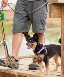 Frisco Outdoor Two Toned Waterproof Stink Proof PVC Leash, Boysenberry Purple, Small - Length: 6-ft, Width: 5/8-in + Dog Harness, Shadow Purple, Small, Neck: 14 to 19-in, Girth: 16 to 23-in -The Frisco Store 319438 PT8. SY630 V1631151972