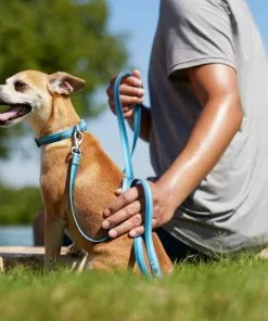 Frisco Outdoor Two Toned Waterproof Stink Proof PVC Leash, River Blue, Large - Length: 6-ft, Width: 1-in + Dog Harness, River Blue, Large, Neck: 19 to 27-in, Girth: 23 to 36-in -The Frisco Store 319440 PT3. SY630 V1631155296