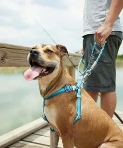 Frisco Outdoor Two Toned Waterproof Stink Proof PVC Leash, River Blue, Large - Length: 6-ft, Width: 1-in + Dog Harness, River Blue, Large, Neck: 19 to 27-in, Girth: 23 to 36-in -The Frisco Store 319440 PT8. SY630 V1631148377