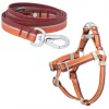 Frisco Outdoor Two Toned Waterproof Stink Proof PVC Leash, Sunset Orange, Large - Length: 6-ft, Width: 1-in + Dog Harness, Flamepoint Orange, Large, Neck: 19 to 27-in, Girth: 23 to 36-in -The Frisco Store 319446 MAIN. SY630 V1631149006