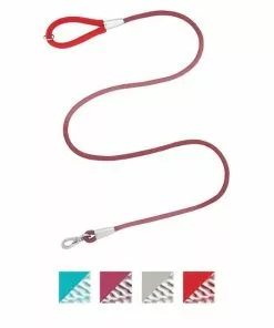 Frisco Outdoor Woven Jacquard Nylon Dog Collar, Flamepoint Orange, Large, Neck: 18 -26-in, Width: 1-in + Ultra Reflective Rope Leash With Padded Handle, Sunset Orange, 6 - ft -The Frisco Store 319462 PT5. SY630 V1631150504