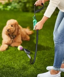 Frisco Traffic Leash with Padded Handles & Poop Bag Dispenser, Black, Length: 6ft, Width: 1-in + Refill Dog Poop Bags, Scented, 120 count 15 Frisco Traffic Leash with Padded Handles & Poop Bag Dispenser, Black, Length: 6ft, Width: 1-in + Refill Dog Poop Bags, Scented, 120 count -The Frisco Store 319512 PT4. SY630 V1630617698