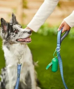 Frisco Traffic Leash with Padded Handles & Poop Bag Dispenser, Blue, Length: 4-ft, Width: 1-in + Refill Dog Poop Bags, Scented, 120 count 15 Frisco Traffic Leash with Padded Handles & Poop Bag Dispenser, Blue, Length: 4-ft, Width: 1-in + Refill Dog Poop Bags, Scented, 120 count -The Frisco Store 319514 PT4. SY630 V1630628822