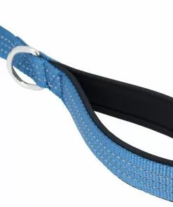 Frisco Traffic Leash with Padded Handles & Poop Bag Dispenser, Blue, Length: 6ft, Width: 1-in + Refill Dog Poop Bags, Scented, 120 count 14 Frisco Traffic Leash with Padded Handles & Poop Bag Dispenser, Blue, Length: 6ft, Width: 1-in + Refill Dog Poop Bags, Scented, 120 count -The Frisco Store 319516 PT3. SY630 V1630621270