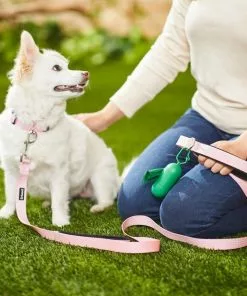 Frisco Traffic Leash with Padded Handles & Poop Bag Dispenser, Pink, Length: 6ft, Width: 1-in + Refill Dog Poop Bags, Scented, 120 count 15 Frisco Traffic Leash with Padded Handles & Poop Bag Dispenser, Pink, Length: 6ft, Width: 1-in + Refill Dog Poop Bags, Scented, 120 count -The Frisco Store 319520 PT4. SY630 V1630623094