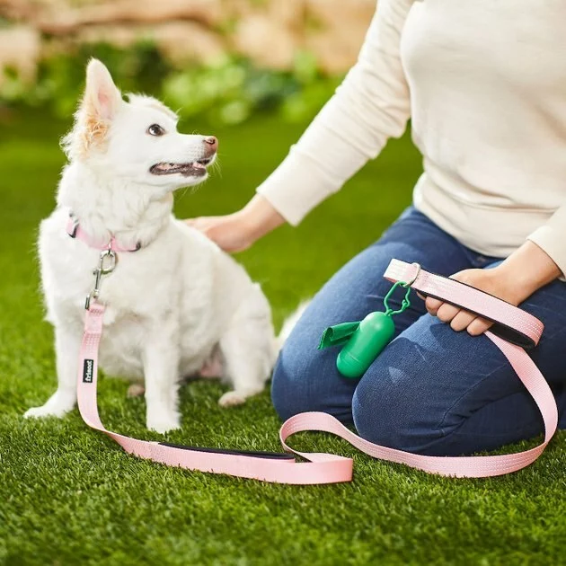 Frisco Traffic Leash with Padded Handles & Poop Bag Dispenser, Pink, Length: 6ft, Width: 1-in + Refill Dog Poop Bags, Scented, 120 count 7 Frisco Traffic Leash with Padded Handles & Poop Bag Dispenser, Pink, Length: 6ft, Width: 1-in + Refill Dog Poop Bags, Scented, 120 count - Image 5