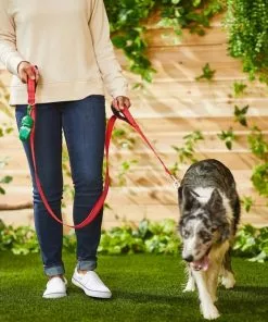 Frisco Traffic Leash with Padded Handles & Poop Bag Dispenser, Red, Length: 6ft, Width: 1-in + Refill Dog Poop Bags, Scented, 120 count 15 Frisco Traffic Leash with Padded Handles & Poop Bag Dispenser, Red, Length: 6ft, Width: 1-in + Refill Dog Poop Bags, Scented, 120 count -The Frisco Store 319524 PT4. SY630 V1630621912