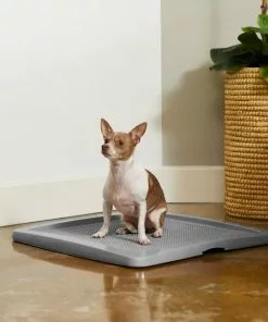 Frisco Training Pad Holder, 24-in x 24-in + Dog Training & Potty Pads, 22 x 23-in, 100 count, Unscented 15 Frisco Training Pad Holder, 24-in x 24-in + Dog Training & Potty Pads, 22 x 23-in, 100 count, Unscented -The Frisco Store 319526 PT4. SY630 V1630624305