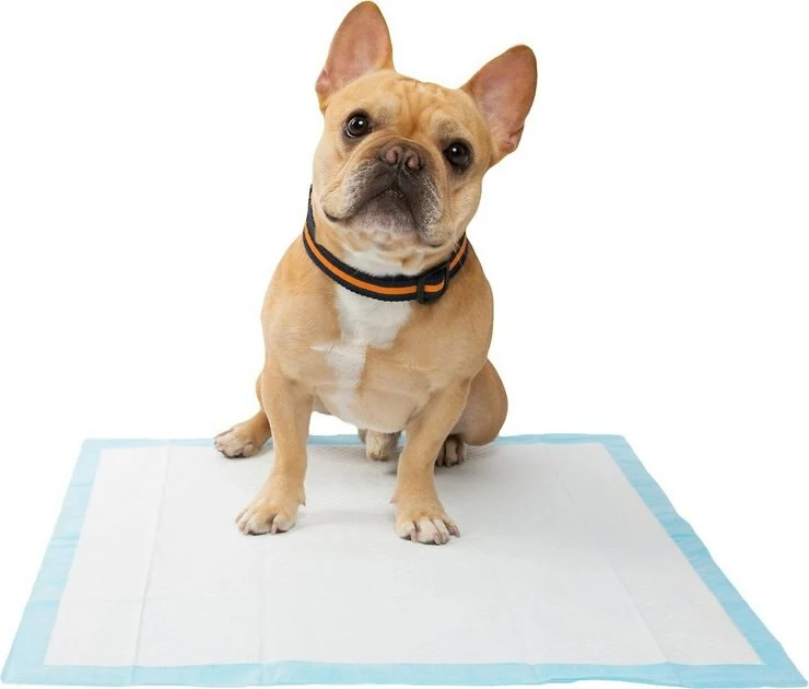 Frisco Training Pad Holder, 24-in x 24-in + Dog Training & Potty Pads, 22 x 23-in, 100 count, Unscented 11 Frisco Training Pad Holder, 24-in x 24-in + Dog Training & Potty Pads, 22 x 23-in, 100 count, Unscented - Image 9