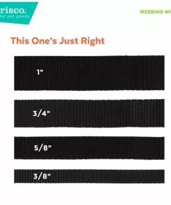 Frisco Jacquard Webbing Dog Collar -The Frisco Store 324415 PT3. SY630 V1642194945