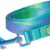 Frisco Green Ombre Style Dog Leash -The Frisco Store 324518 MAIN. SY630 V1642518227