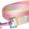 Frisco Pink Ombre Style Dog Leash -The Frisco Store 324523 MAIN. SY630 V1642519775