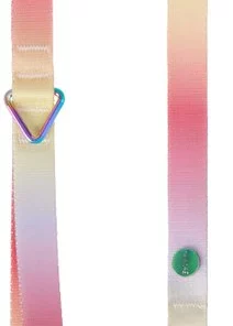 Frisco Pink Ombre Style Dog Leash -The Frisco Store 324523 PT1. SY630 V1642518735