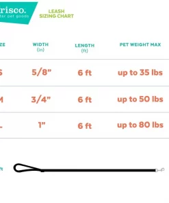 Frisco Pink Ombre Style Dog Leash -The Frisco Store 324523 PT2. SY630 V1642519814