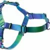 Frisco Green Ombre Style Dog Harness 2 Frisco Green Ombre Style Dog Harness -The Frisco Store 324531 MAIN. SY630 V1642519320