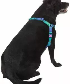 Frisco Green Ombre Style Dog Harness -The Frisco Store 324531 PT3. SY630 V1642518631