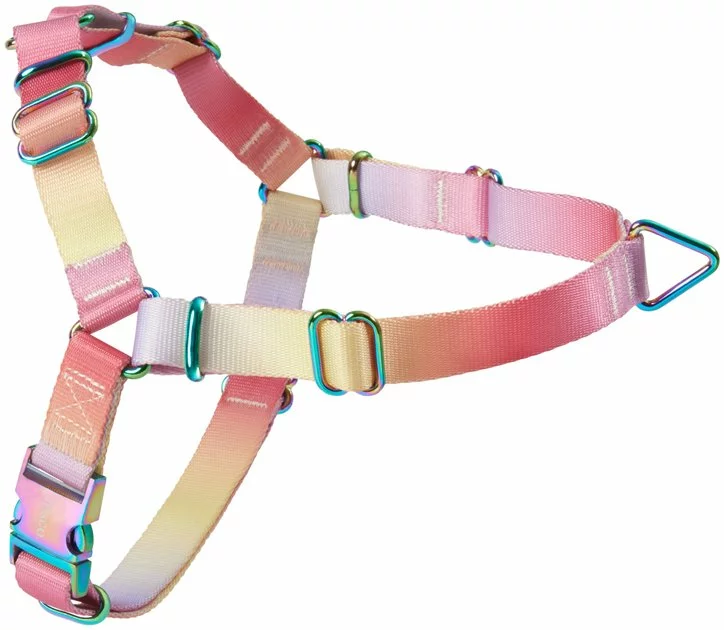 Frisco Pink Ombre Style Dog Harness 3 Frisco Pink Ombre Style Dog Harness