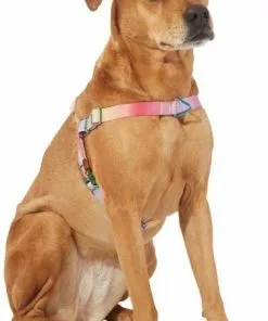Frisco Pink Ombre Style Dog Harness 9 Frisco Pink Ombre Style Dog Harness -The Frisco Store 324536 PT2. SY630 V1642518223