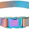 Frisco Purple Ombre Style Dog Collar
