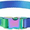 Frisco Green Ombre Style Dog Collar -The Frisco Store 324546 MAIN. SY630 V1642519605