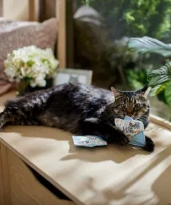 Frisco Mother's Day Card Felt Cat Toy with Catnip, 2 count -The Frisco Store 327025 PT3. SY630 V1646948030