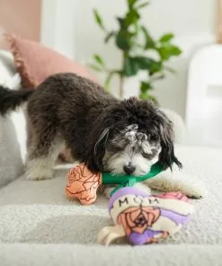 Frisco Mother's Day Rose & Heart Plush Squeaky Dog Toy, 2 count 7 Frisco Mother's Day Rose & Heart Plush Squeaky Dog Toy, 2 count -The Frisco Store 327033 PT3. SY630 V1646947953