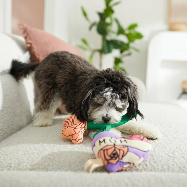 Frisco Mother's Day Rose & Heart Plush Squeaky Dog Toy, 2 count 5 Frisco Mother's Day Rose & Heart Plush Squeaky Dog Toy, 2 count - Image 3