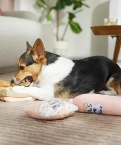 Frisco Mother's Day Gifts Plush Squeaky Dog Toy, 3 count -The Frisco Store 327035 PT3. SY630 V1646947993