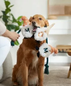 Frisco Mother's Day Gnomes Plush with Rope Squeaky Dog Toy 7 Frisco Mother's Day Gnomes Plush with Rope Squeaky Dog Toy -The Frisco Store 327037 PT3. SY630 V1646948102