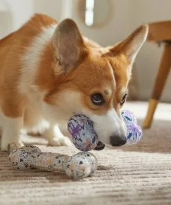 Frisco Mother's Day TPR Bone Squeaky Dog Toy, 2 count -The Frisco Store 327041 PT3. SY630 V1646947973