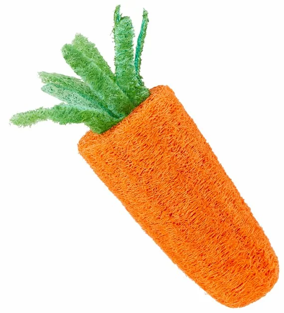 Frisco Small Pet Carrot Loofah Chew Toy 3 Frisco Small Pet Carrot Loofah Chew Toy