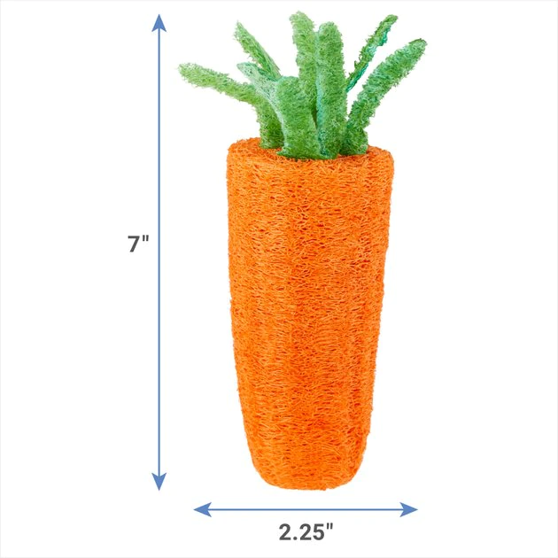 Frisco Small Pet Carrot Loofah Chew Toy 4 Frisco Small Pet Carrot Loofah Chew Toy - Image 2