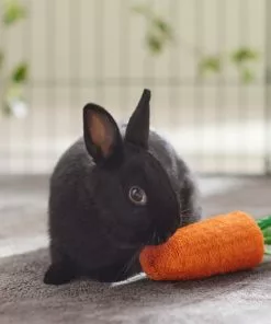 Frisco Small Pet Carrot Loofah Chew Toy 7 Frisco Small Pet Carrot Loofah Chew Toy -The Frisco Store 330873 PT2. SY630 V1647530171