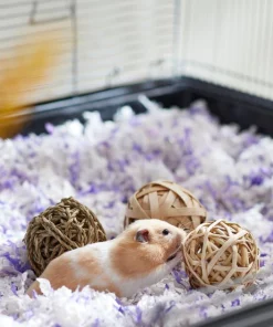 Frisco Trio Balls Small Pet Chew Toys -The Frisco Store 330885 PT2. SY630 V1647530230