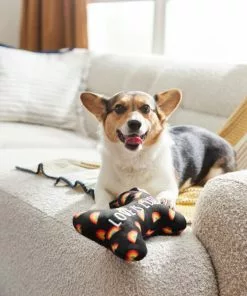 Frisco Pride Proud Pup Bone Plush Squeaky Dog Toy -The Frisco Store 331638 PT3. SY630 V1647355940