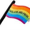 Frisco Pride Flag Flat Squeaky Dog Toy -The Frisco Store 331640 MAIN. SY630 V1649086310